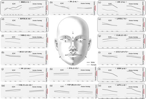 Facial Changes From Age 40 Years To Age 70 Years A Brh Brow Ridge