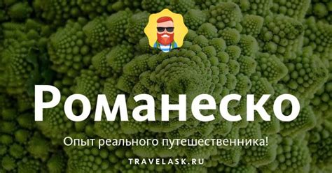 Романеско (капуста римская): фото, польза, калорийность, выращивание из ...