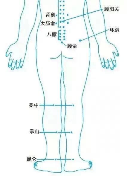 国医正骨：腰椎间盘突出症，中医穴位汇总（附按摩手法） 每日头条