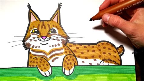 How To Draw Lynx Coloring With Markers Youtube