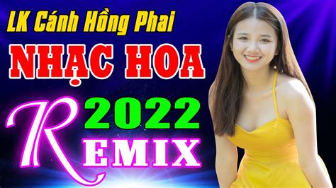 LK Cánh Hồng Phai REMIX Nhạc Hoa Lời Việt 7X 8X 9X Phê Đứng Hình LK