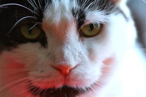 December 2013 The Non Blonde