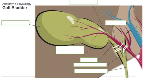 Cholecystectomy Procedure Steps, Instrumentation & Accessories Diagram ...