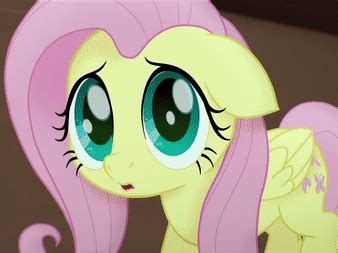 #1837984 - animated, cropped, cute, fluttershy, gif, my little pony ...