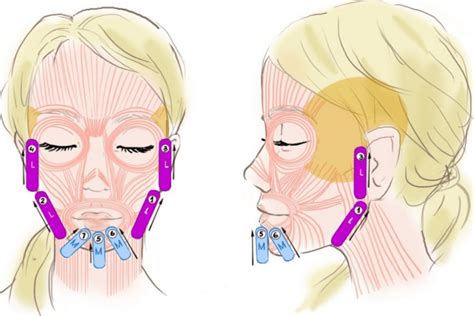 Тейпирование лица в домашних условиях: полный обзор процедуры