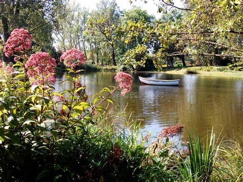 Ogród Botaniczny UMCS w Lublinie Wizyta w ogrodzie Zielony Ogródek