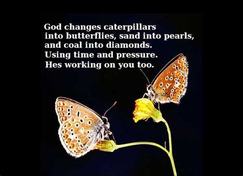 God Changes Caterpillars Into Butterflies Sand Into Pearls Butterfly