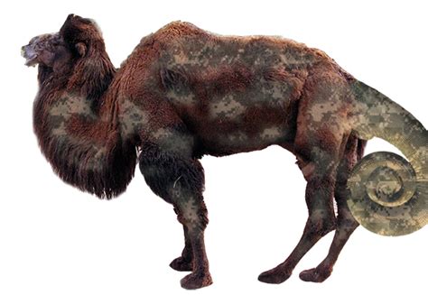 Kamelion – Stupidedia