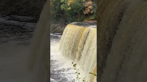 The Tahquamenon Falls Also Called The Root Beer Falls” In Upper