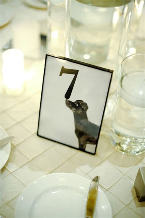 Reception Ideas Pets At Your Wedding Hotel Wedding Wedding Table