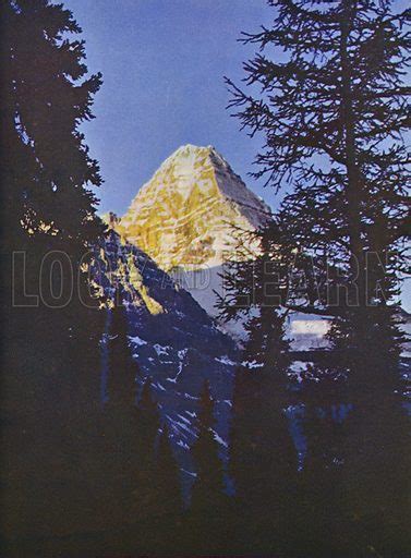 Sunrise on Mount Assiniboine stock image | Look and Learn