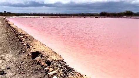 Las Salinas De Cabo Rojo Puerto Rico Junio 7 2014 Youtube