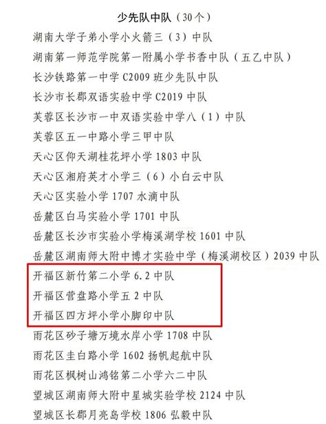 市少先队优秀十佳集体和个人公布，开福区这些集体和个人上榜！澎湃号·政务澎湃新闻 The Paper