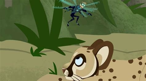 Wild Kratts Search for the Florida Panther | On PBS Wisconsin