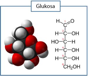 Glukosa Rumus Kimia - Homecare24