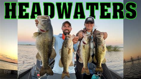 The Infamous Headwaters Lake In Florida Amazing Bass Fishing Filmed