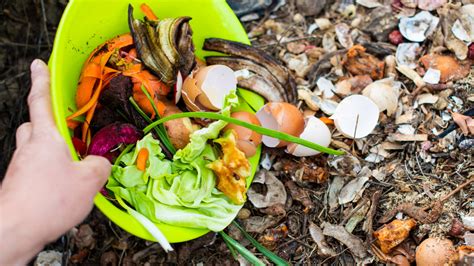 11 Ways To Use Eggshells In The Garden So You Never Have To Throw Them Out