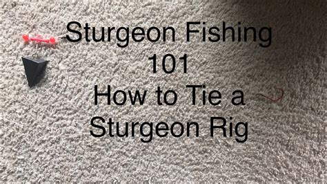 Sturgeon Fishing 101 Rigs For Sturgeon YouTube