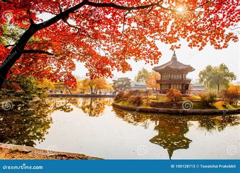 Autumn in Gyeongbokgung Palace, Seoul in South Korea Stock Image ...