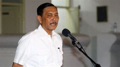 Alasan Mengapa Bukan Luhut Binsar Yang Ditunjuk Jokowi Jadi Pengganti