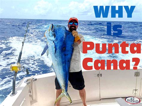 Punta Cana Fishing Charters - Deep sea fishing charters in Punta Cana ...