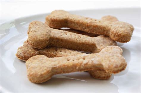 Diy Dog Treats How To Make Easy Peasy Dog Treats Video Petguide