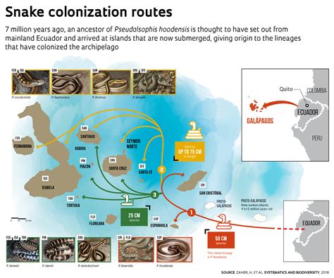 How Snakes Arrived In The Galápagos Revista Pesquisa Fapesp