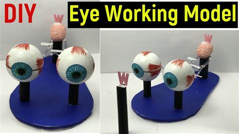 Eye Working Model Human Eye Working Model Working Model Of Eye Diy