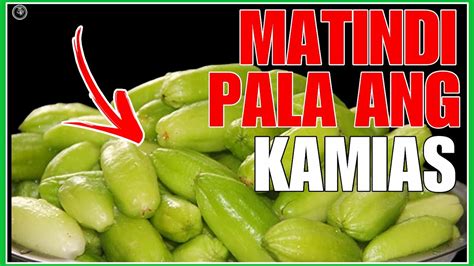 Panoorin Mo Muna Ito Bago Ka Kumain Ng Prutas Na Kamias Bhes Tv Youtube