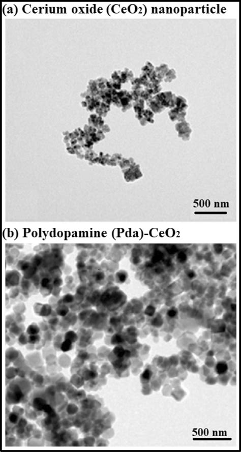 Tem Image Of A Cerium Oxide Ceo2 Nanoparticles And B