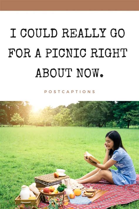 70 Cool Picnic Captions For Instagram