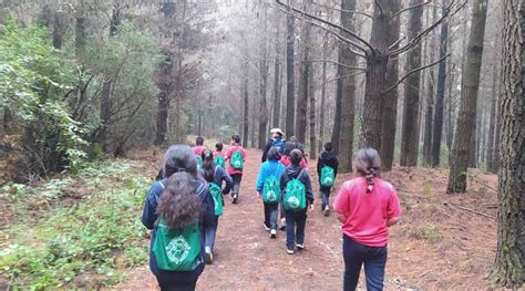 Escuela del Bosque aterriza un verano entretenido en La Araucanía