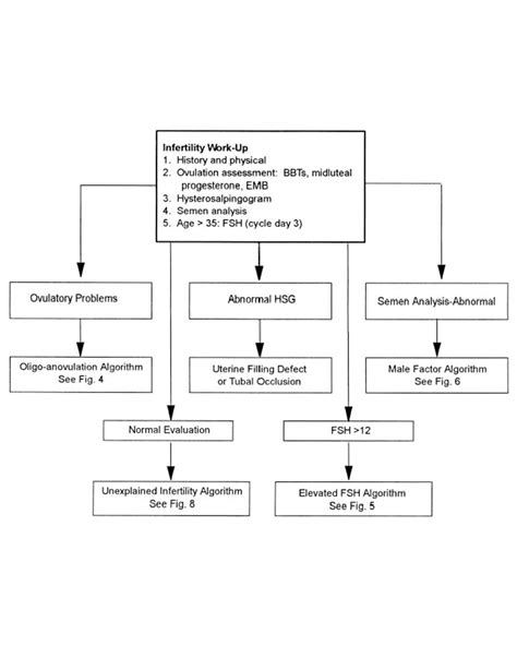 Infertility Workup Identify Causes And Start Treatment