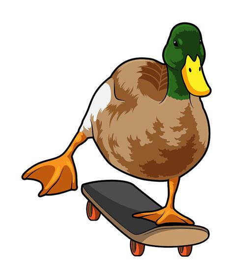 Duck As Skater With Skateboard Painting By Markus Schnabel Fine Art