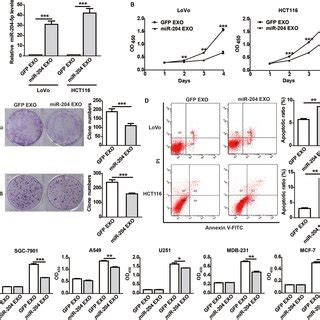 Exosomal Mir P Inhibits Crc Growth In Vivo A The Schematic