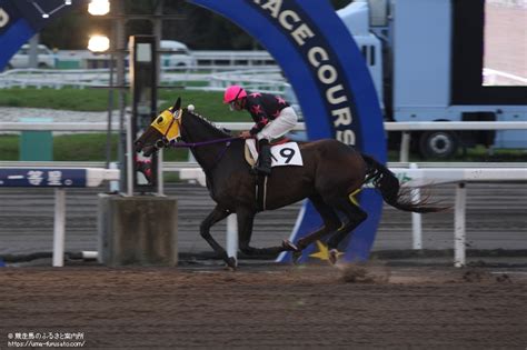 ホッカイドウ競馬で13歳馬がデビュー 馬産地ニュース 競走馬のふるさと案内所