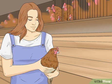 How to Hypnotize a Chicken: 10 Steps (with Pictures) - wikiHow