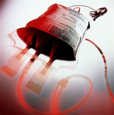 Jehovah S Witnesses Blood Transfusion Confusion