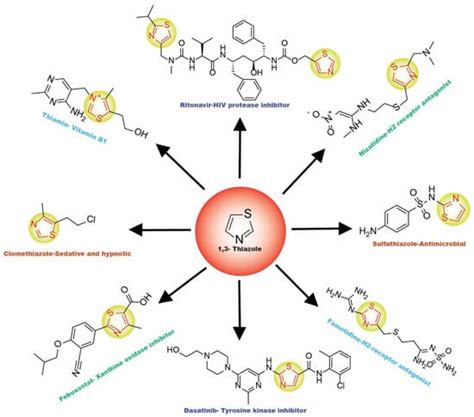 Molecules Free Full Text Thiazole A Versatile Standalone Moiety