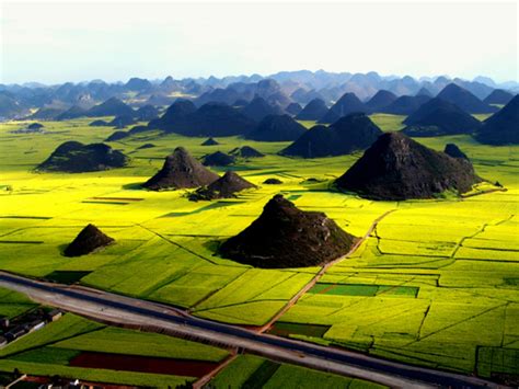 Top China Countryside to Enjoy Rapeseed Flowers in March, Best Spring ...