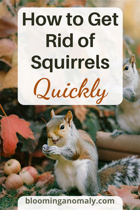 Actionable Ways To Keep Squirrels Out Of Your Garden Artofit