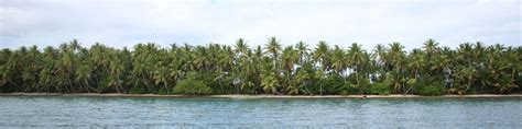 Funafuti Tourism: Explore Funafuti with Expedia. Bundle Flights & Hotels on Your Funafuti Trip ...