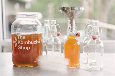 Deluxe Kombucha Brewing Kit | The Kombucha Shop