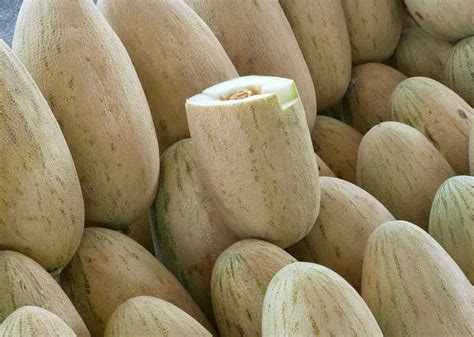 Продам дыни оптом — Agro-Uzbekistan