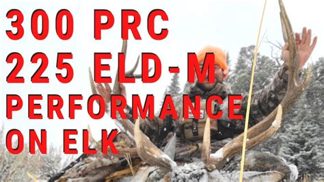 Prc Performance On Elk Hornady Eld M Youtube