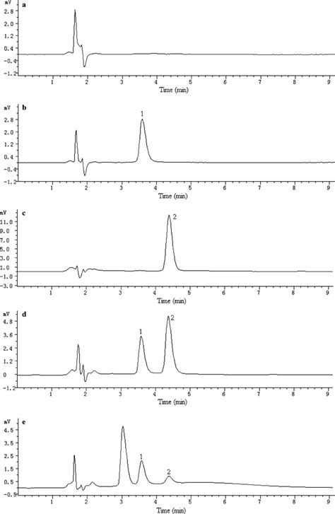 Hplc Chromatograms For Benzoic And Sorbic Acids Obtained By In Tube