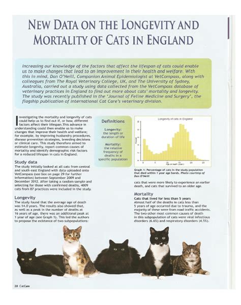 Article In Catcare Magazine News Vetcompass Royal Veterinary