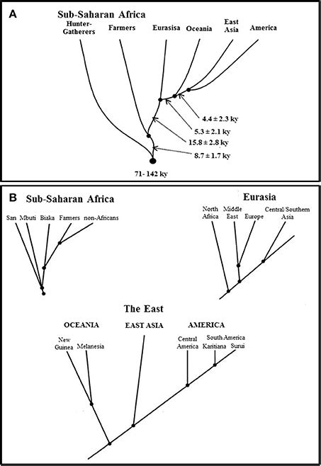 Frontiers Population Genomics And The Statistical Values Of Race An