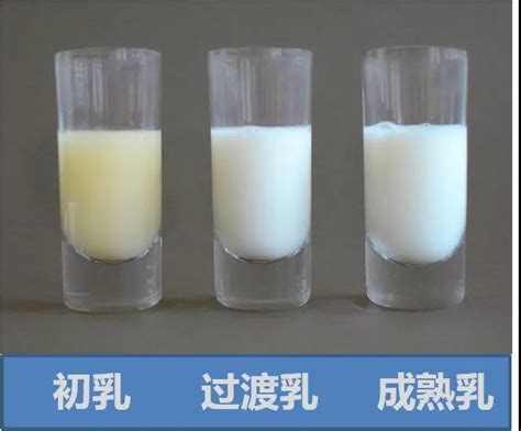 初乳、过渡乳、成熟乳、前后奶都有啥区别？ 知乎