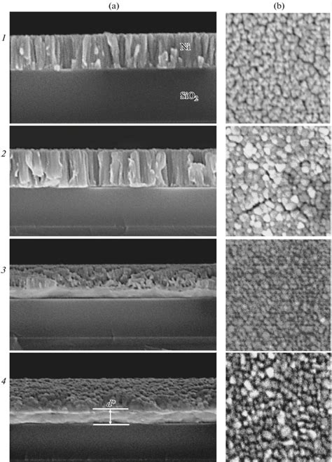 Sem Images Of A Cross Section Of And B Surface Of Nm Thick Ni